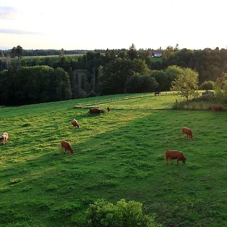 Schwarzwaldstube Alpenblick Höchenschwand