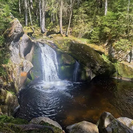 Schwarzwaldstube Alpenblick