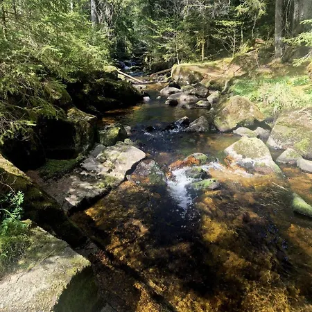 Διαμέρισμα Schwarzwaldstube Alpenblick Höchenschwand