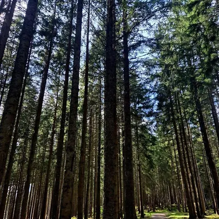 Διαμέρισμα Schwarzwaldstube Alpenblick *