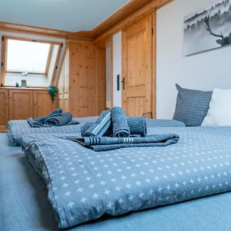 Schwarzwaldstube Alpenblick Apartment Höchenschwand